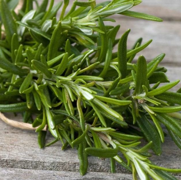Rosemary